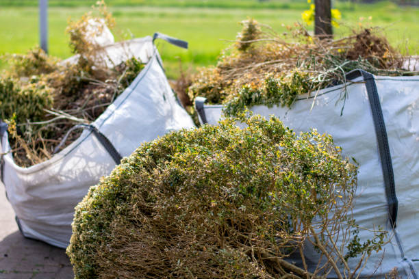 Best Construction Debris Removal  in West Wood, UT